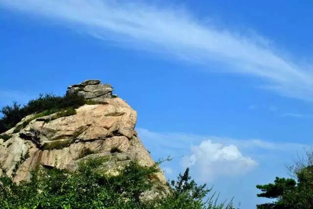 天呐噜：3月信阳将要发生的这些大事，你不知道可能要吃大亏……