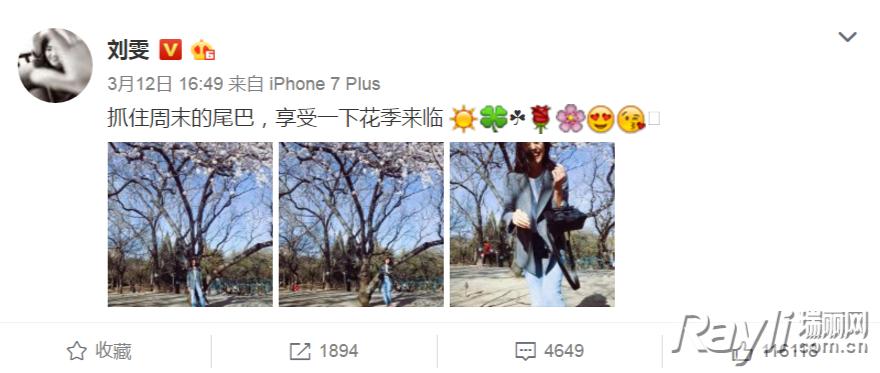 夏日必备蝴蝶结,春款最简单的蝴蝶结来啦