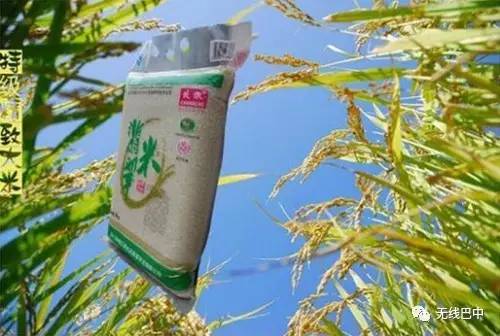 3.15消费指南,巴中这么多产品都被“曝光”啦~