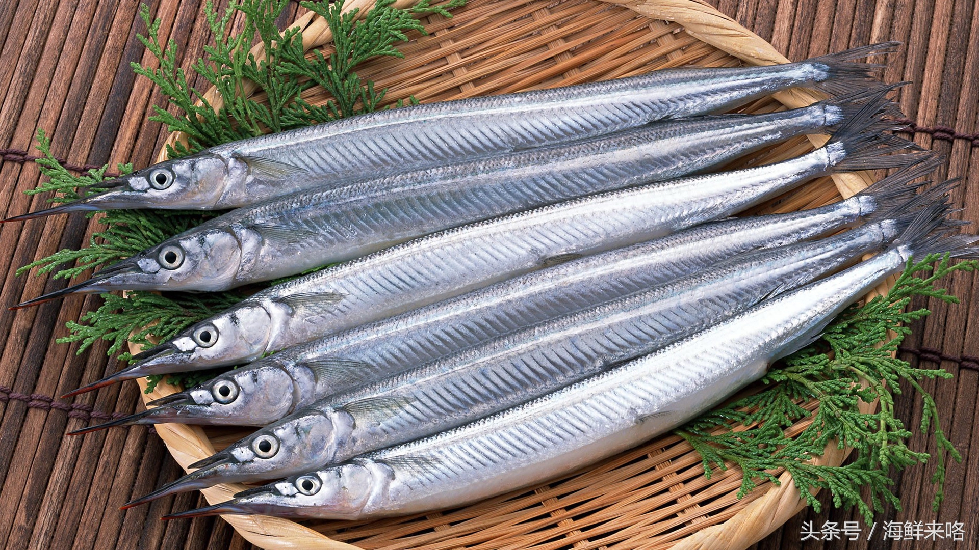 哪种海鱼吃着最简单,哪种海鱼喜欢吃肉