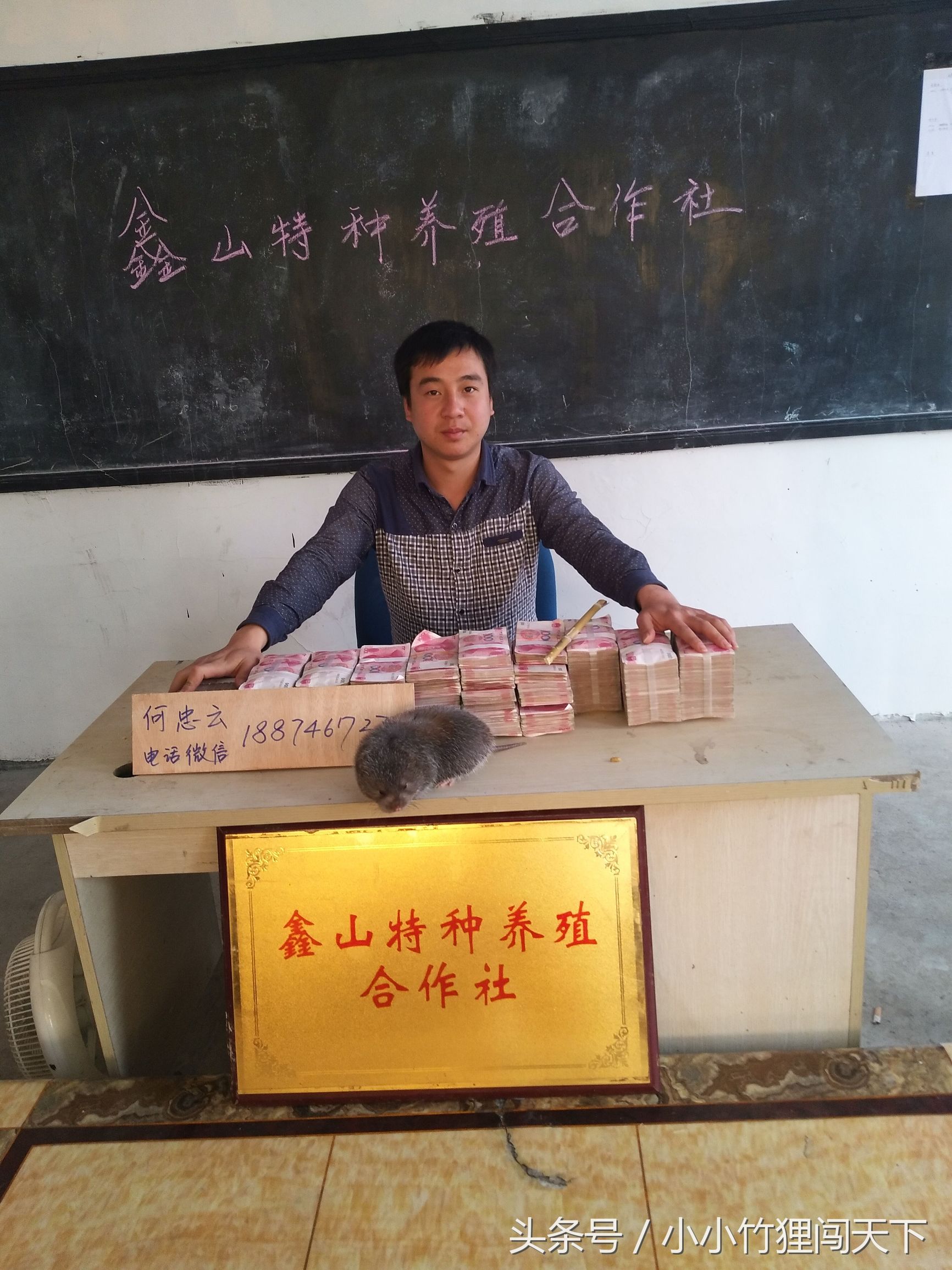 养殖竹鼠违法吗,竹鼠养殖合法吗