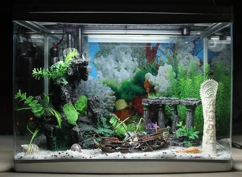 二手鱼缸清洗消毒,鱼缸用高锰酸钾消毒以后怎么清洗