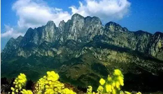 运城美食野菜,运城田间美食推荐
