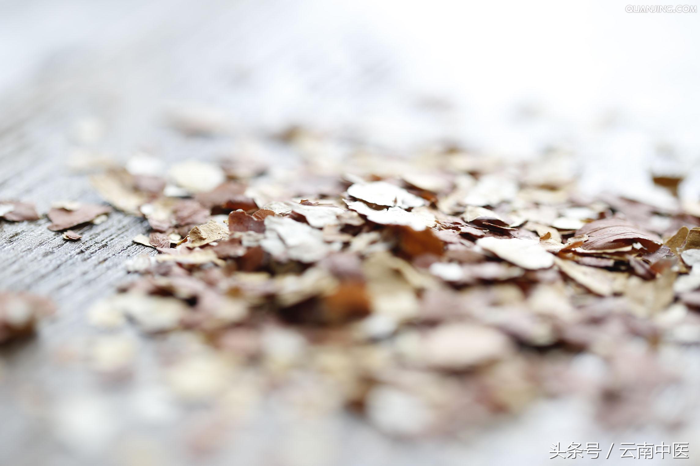 国医裘沛然,裘沛然医术