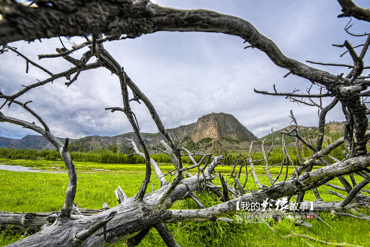 黄石公园十大景点排名表最新,国家地理公认前十景点