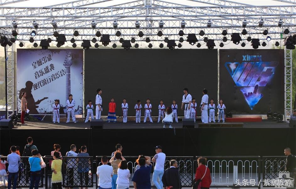 紫塞网,承德紫塞网是什么网站