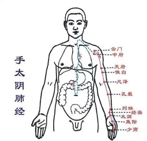 美容院通经络的方法,常来推拿章丘