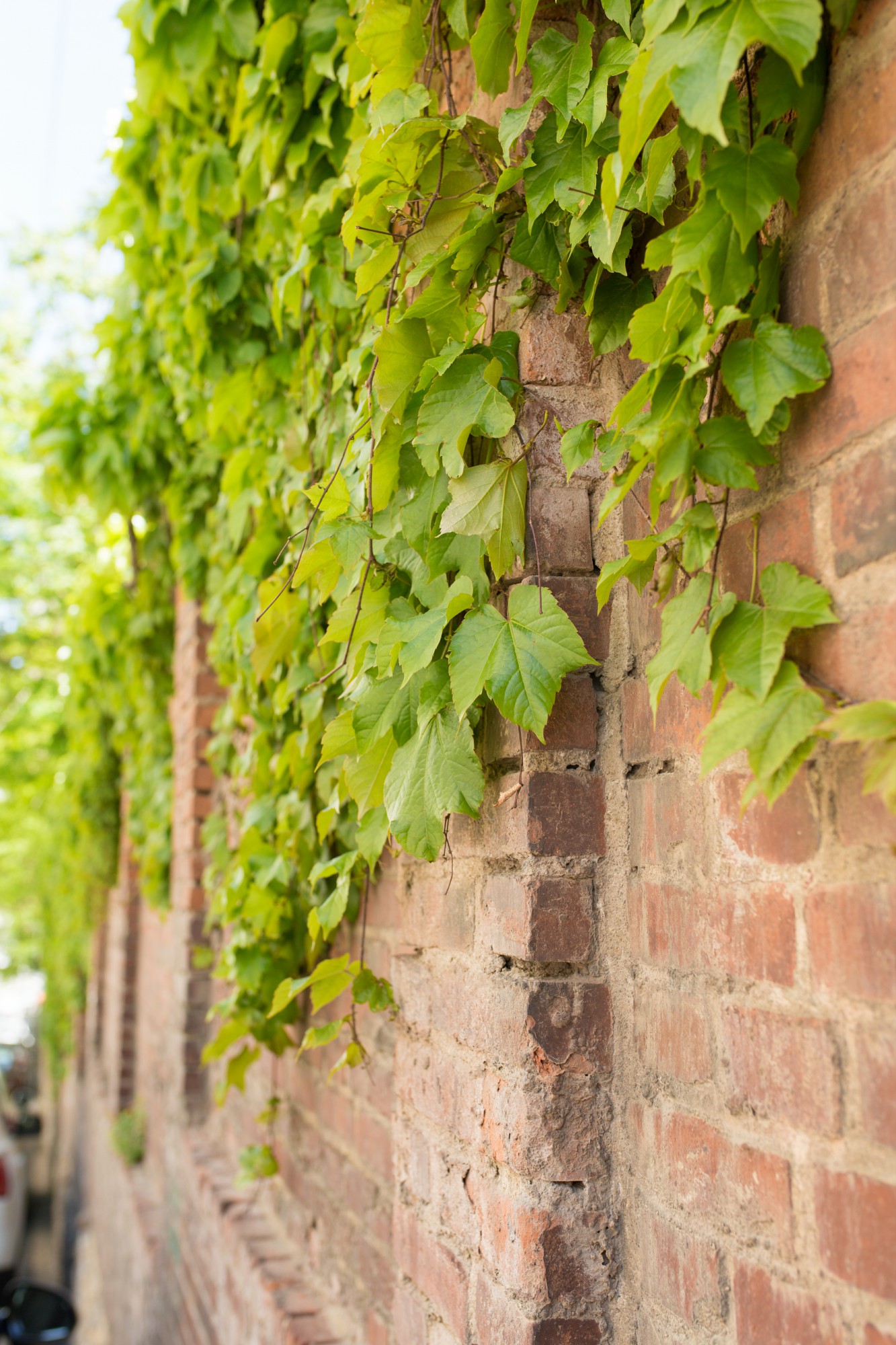 大连旧时光记忆图片,大连老街旧影