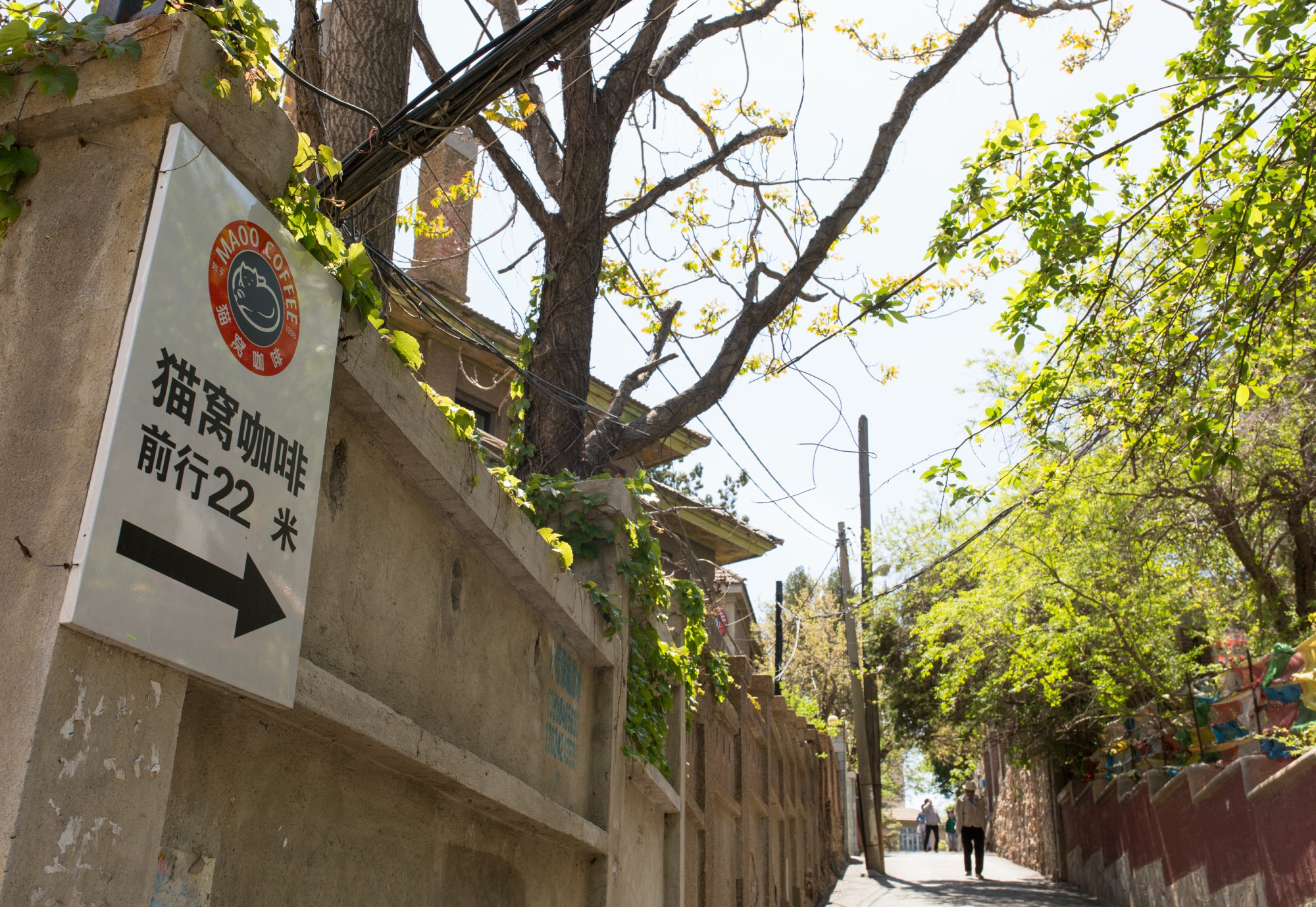 大连旧时光记忆图片,大连老街旧影