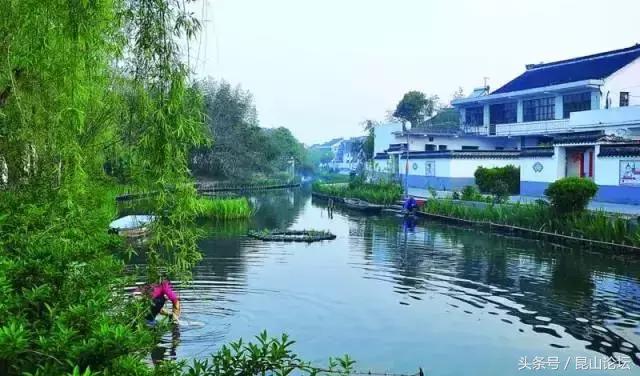 厉害了昆山陆家,厉害了江苏