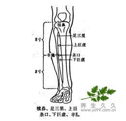博古特的伤病,博古特扣篮骨折