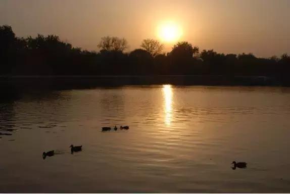 一次不回家的旅行,一次不出门的旅行