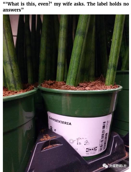 啥都有了还想逛?你家有没有一个酷爱在宜家乱买东西的女人?