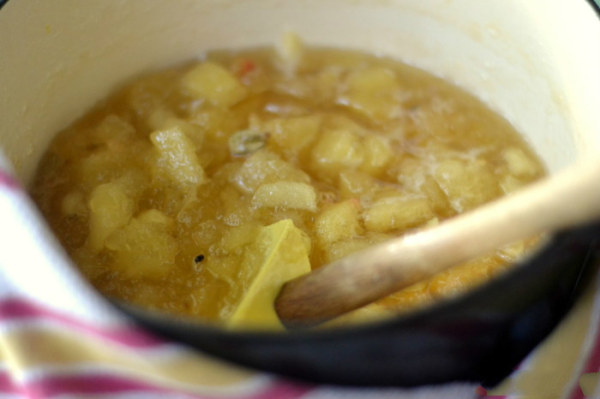 自制柠檬果酱正宗做法,自制果酱要不要放冰箱