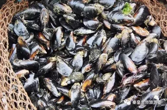秦皇岛人吃螃蟹,秦皇岛海鲜什么时候吃最好
