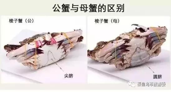 秦皇岛人吃螃蟹,秦皇岛海鲜什么时候吃最好