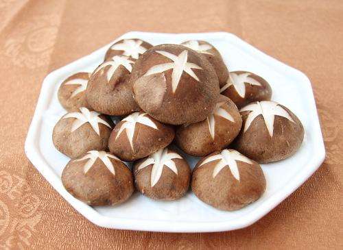 致富路上当先锋,致富路上需要带头人