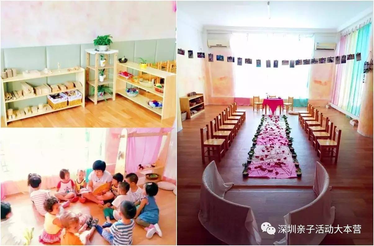 深圳市南山区幼儿园择校最全攻略,深圳南山要择校怎么考