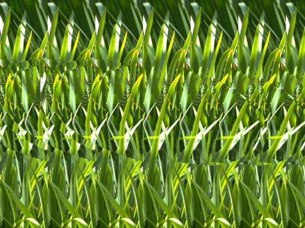 在家可以实现观看裸眼3d电影吗,可以裸眼看的3d电影