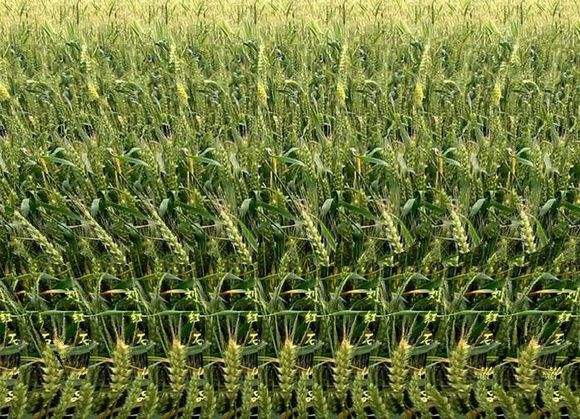 在家可以实现观看裸眼3d电影吗,可以裸眼看的3d电影