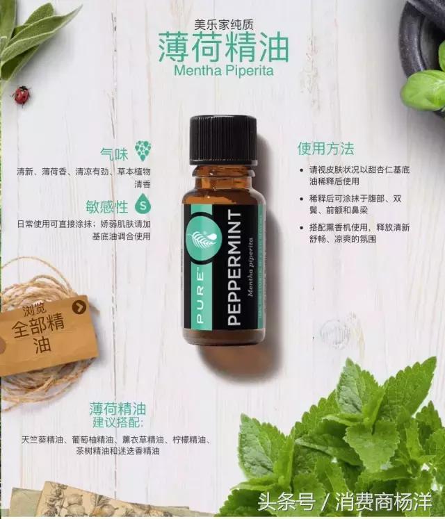 十二款精油的介绍