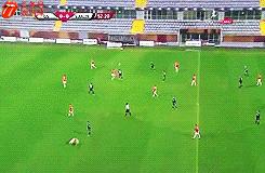 欧洲足球赛球员发挥欠佳,两只拉布拉多看不下去了,闯入球场