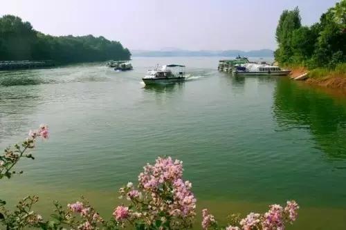 众里寻她千百度视频,众里寻她千百度作品