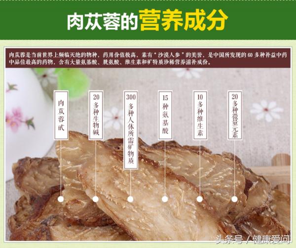 肉苁蓉啥功效,肉苁蓉的功效与作用和副作用