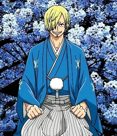 海贼王草帽团娜美罗宾日常生活,海贼王罗宾娜美新服装