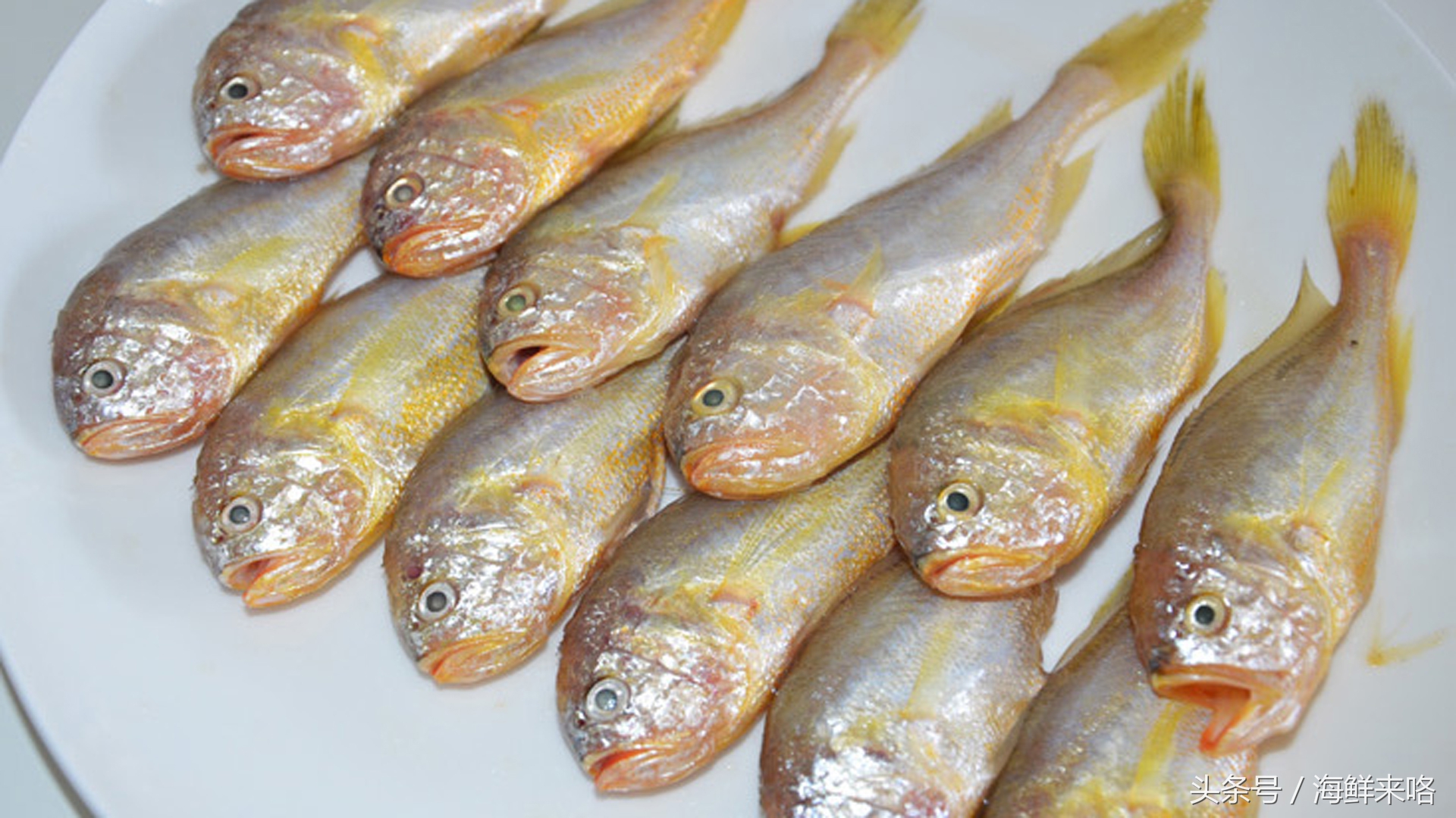 哪种海鱼吃着最简单,哪种海鱼喜欢吃肉