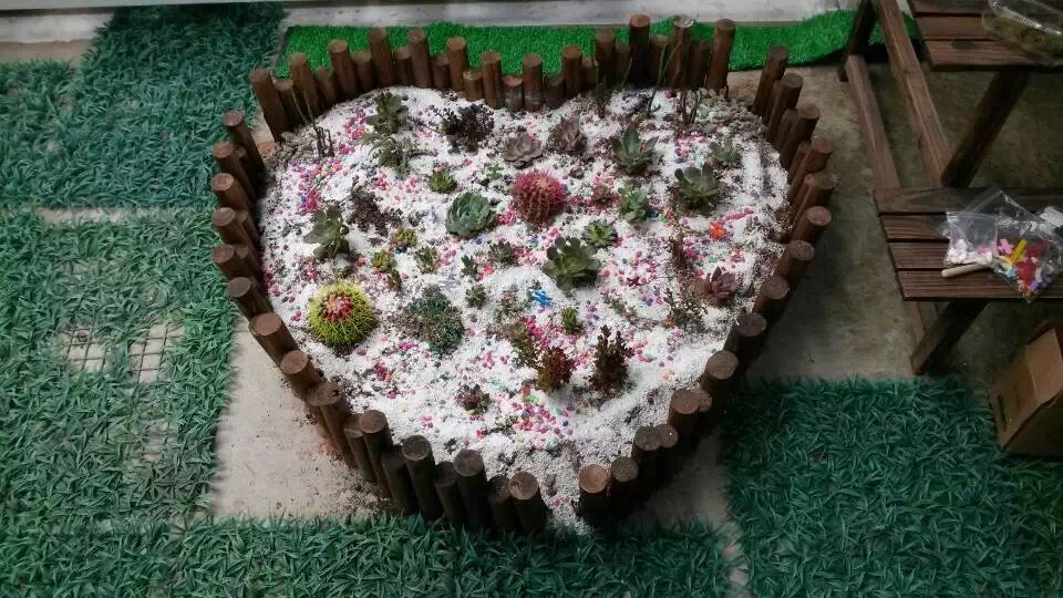 怎么开多肉植物店,多肉植物实体店开店流程