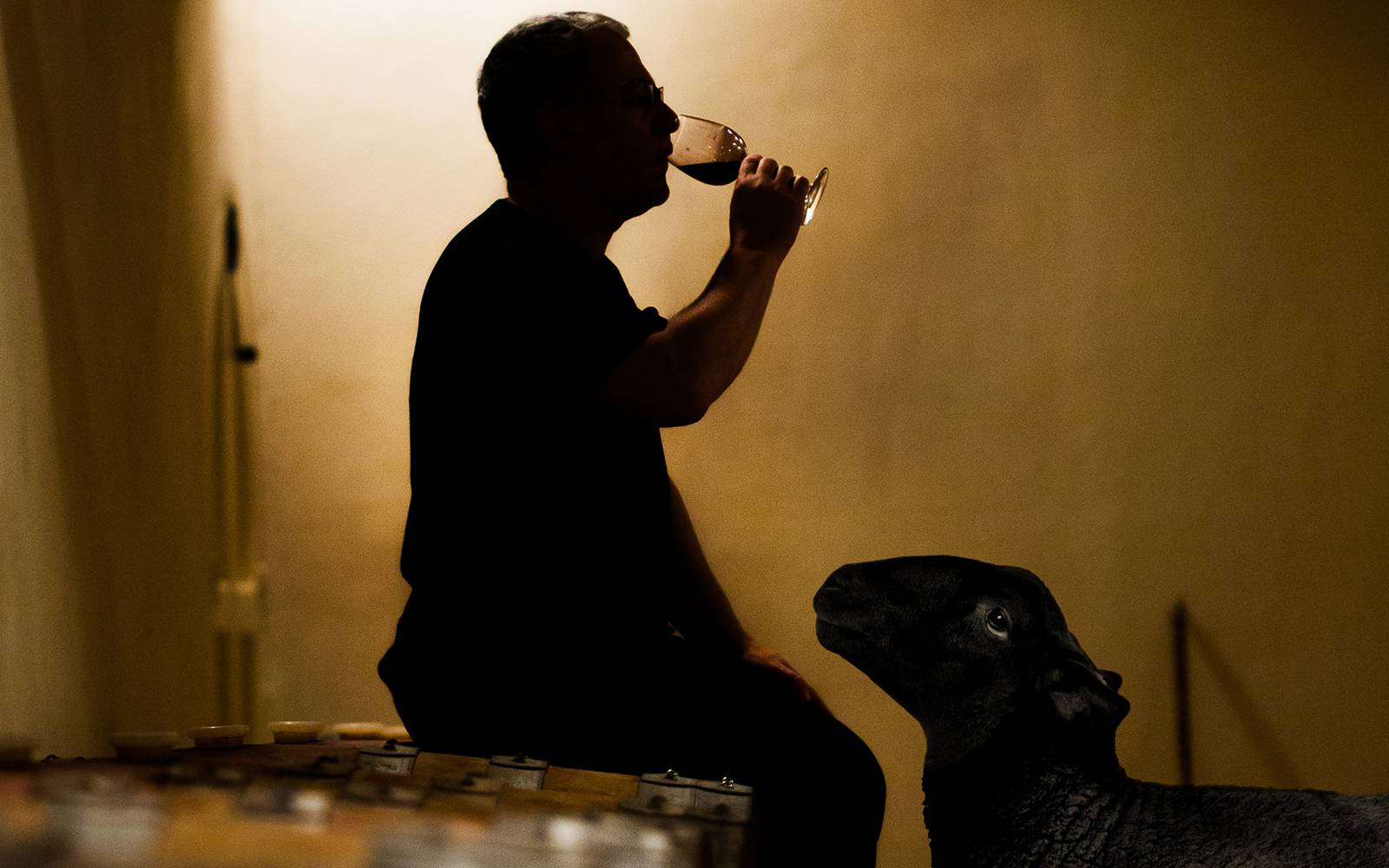 真正的美酒，是上帝的血液（法国大黑羊）