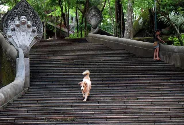 孤独星球最佳旅游地区,孤独星球最佳旅游地