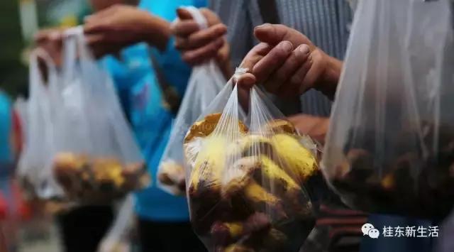 “南方夏都”桂东，平汝高速上的避暑休憩地