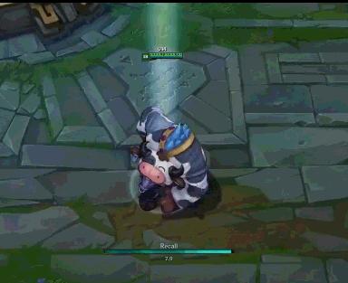 loluzi常用的英雄皮肤,愚人节哈巴狗皮肤