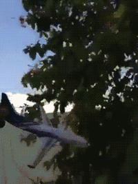 看见刘总从车上拎包下来，跑过去：刘总，我来拿！