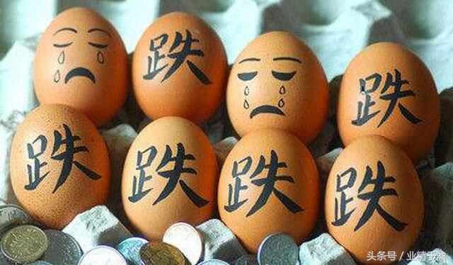 养鸡要多大规模才能赚钱,养鸡一年利润有多大