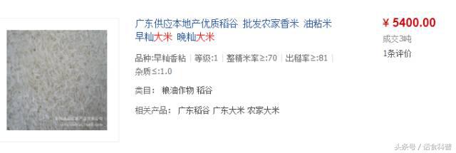 “塑料大米”重出江湖？鉴别方式看这里