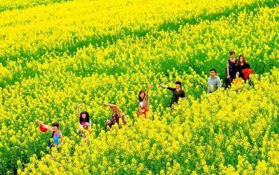 用VR看花海是种怎样的体验?这周就去免费看~