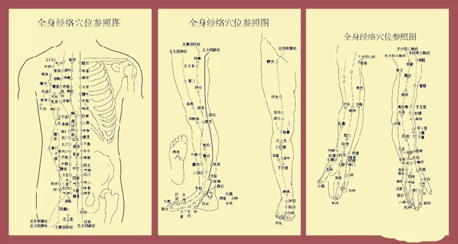 十秒钟学会针灸手法,最好记的针灸穴位歌诀