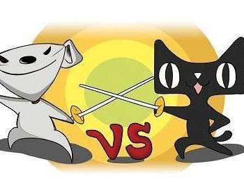 京东白条和蚂蚁花呗,京东白条类似于支付宝的花呗吗