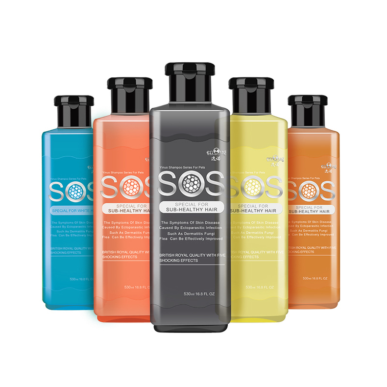 调皮又捣蛋的泰迪怎么驯服它,调皮的泰迪怎么制服它