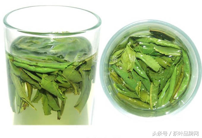 中国名茶六安瓜片得名是因为,中国历史名茶六安瓜片贡茶