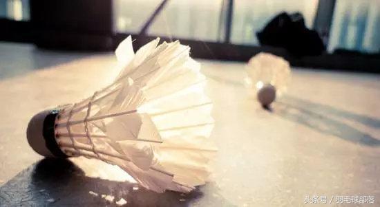 新手羽毛球装备,纯入门新手适合用什么羽毛球