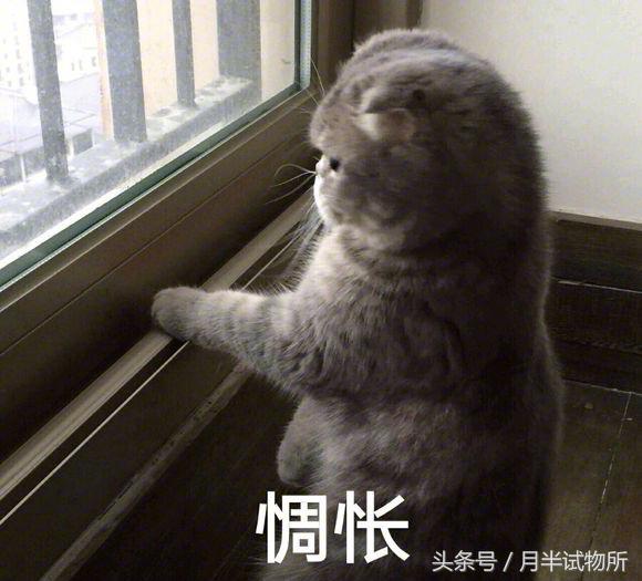 春天过敏的解决方法,春天过敏的原因是什么