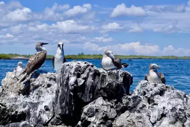 这才是旅行的样子，从亚洲至南美洲，他比我们多了点勇气和决心