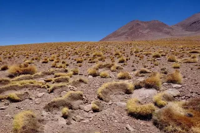 这才是旅行的样子，从亚洲至南美洲，他比我们多了点勇气和决心
