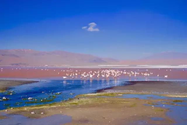 这才是旅行的样子，从亚洲至南美洲，他比我们多了点勇气和决心