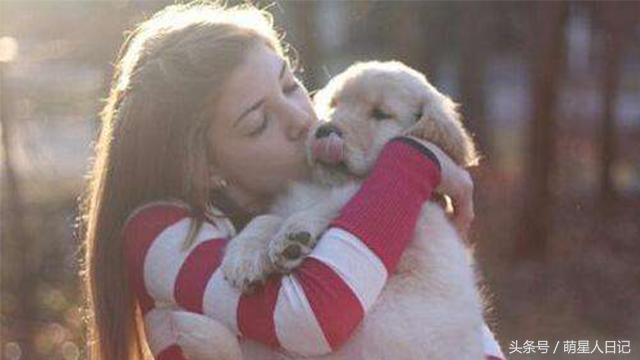 狗狗食道扩张的原因,狗狗食道扩张的症状