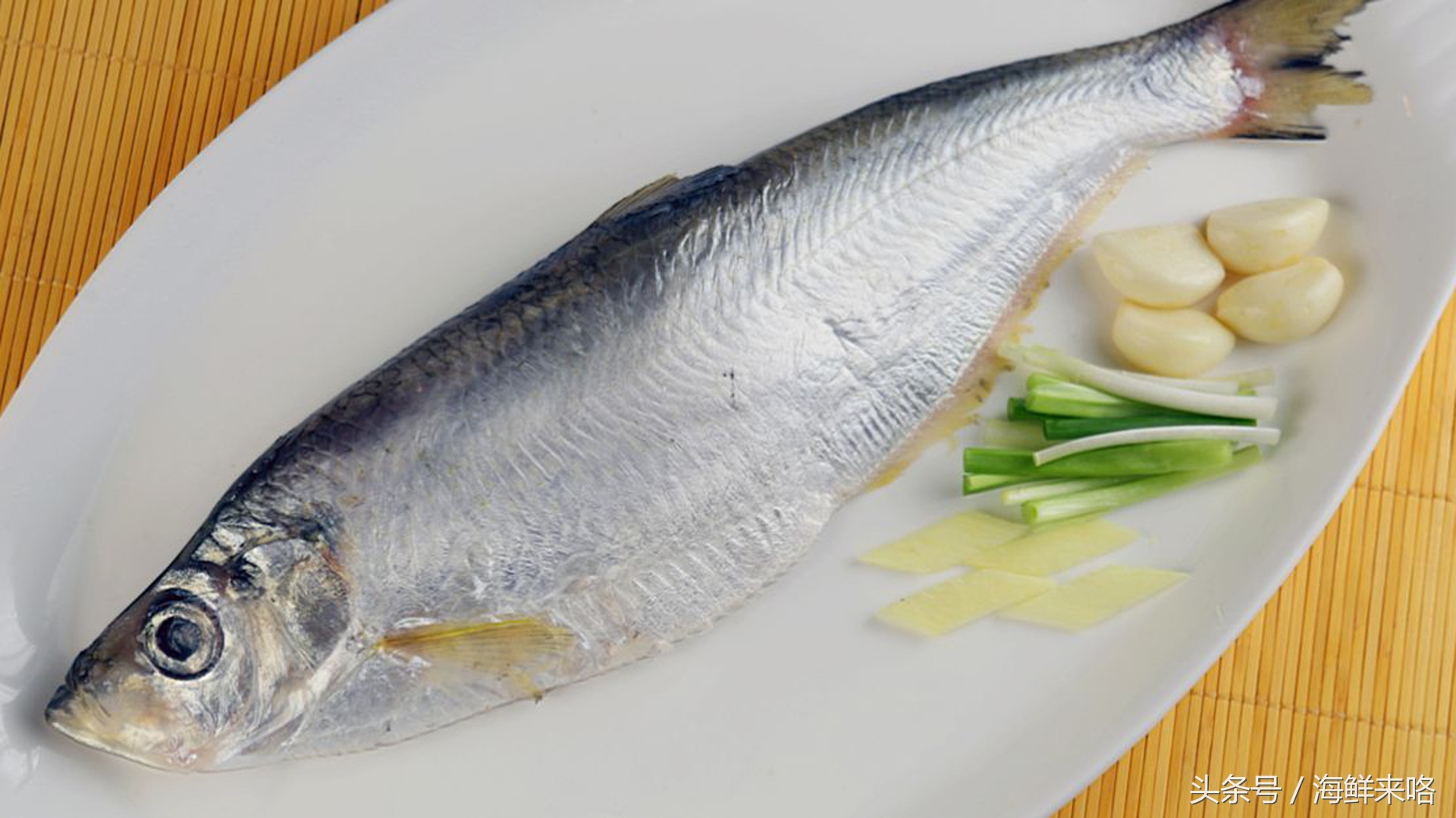 哪种海鱼吃着最简单,哪种海鱼喜欢吃肉